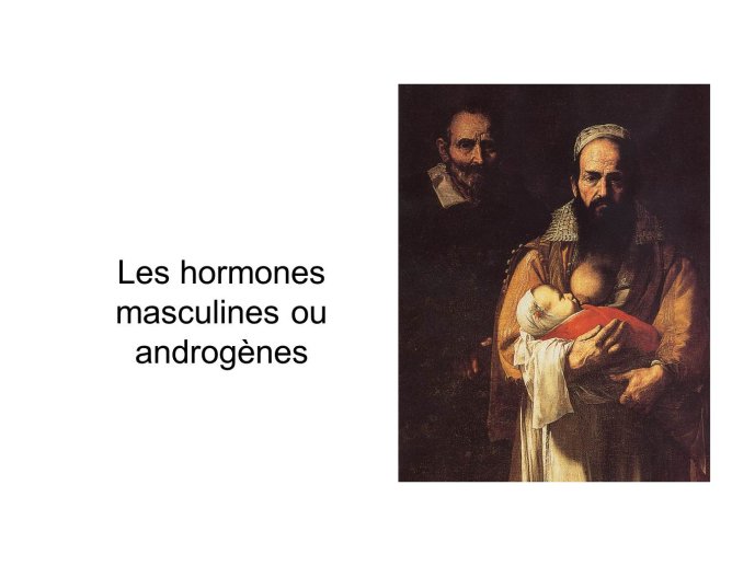 Diapositive21.JPG