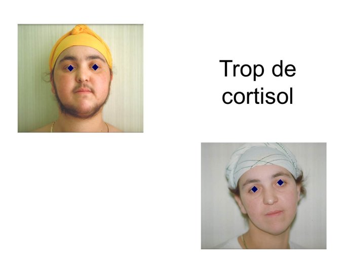 Diapositive22.JPG