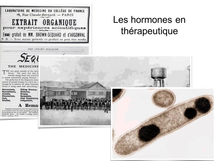 Diapositive25.JPG