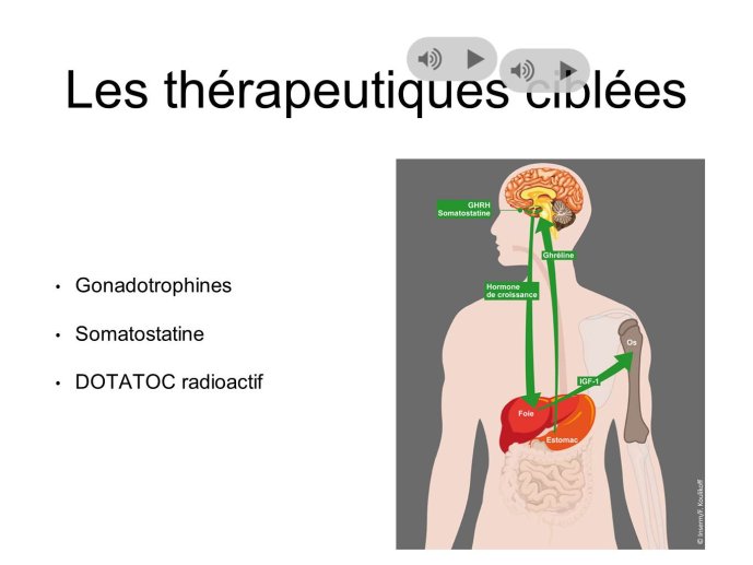 Diapositive27.JPG