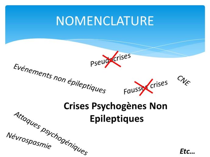Diapositive4.JPG