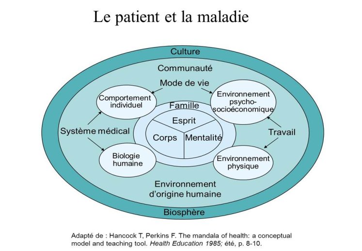 Le patient et la maladie
