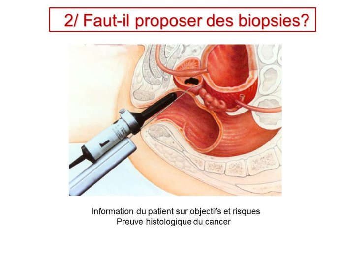 Diapositive13.JPG