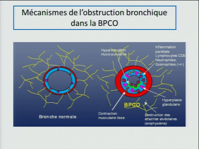 slide_0002_full.jpg
