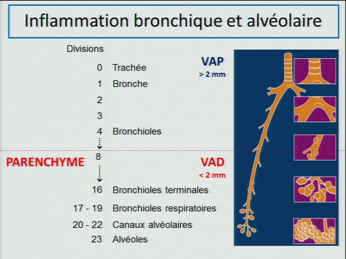 slide_0003_full.jpg