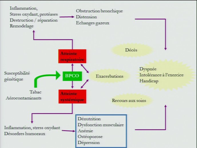 slide_0004_full.jpg