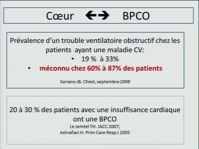 slide_0017_full.jpg