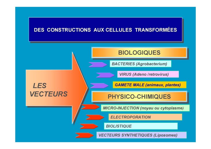 OGM_SimonedeBeauvoir_Page_10.jpg