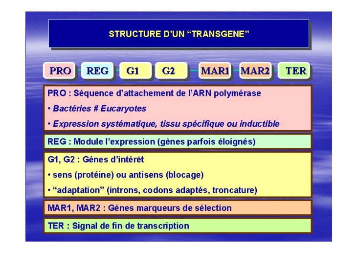 OGM_SimonedeBeauvoir_Page_07.jpg