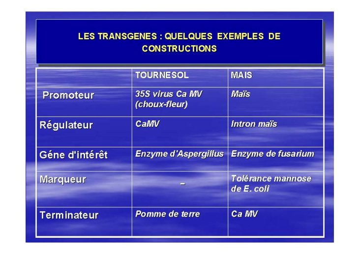 OGM_SimonedeBeauvoir_Page_08.jpg