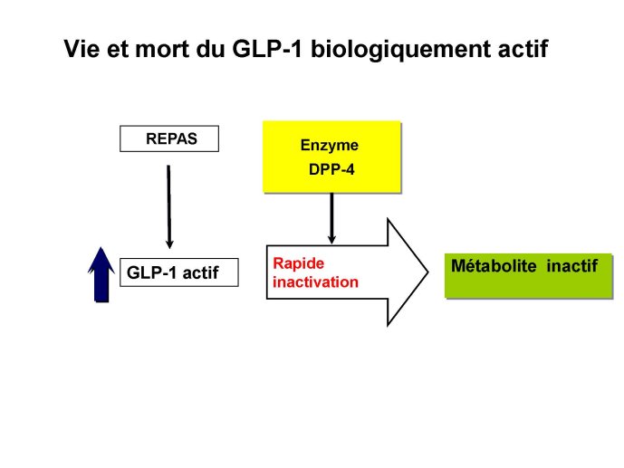 Les nouveaux antidiabétiques et le sujet âgé_Page_13.jpg