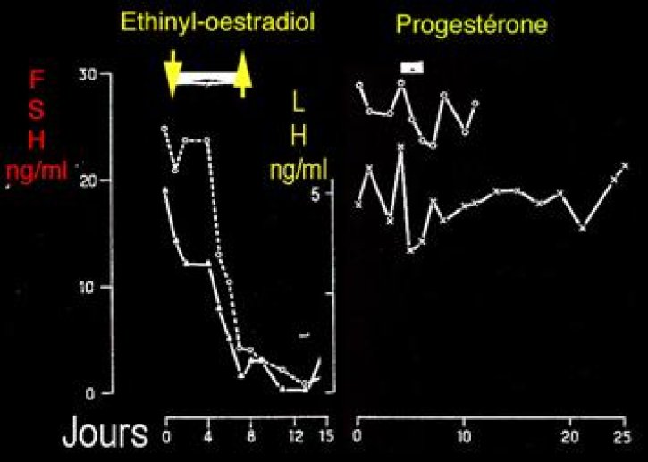 Dosage de l'hormone folliculostimulante humaine (HFSH) par la méthode radioimmunologique.