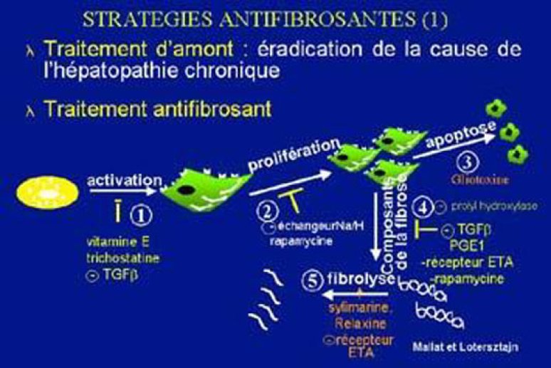 Fig 16 Stratégies thérapeutiques