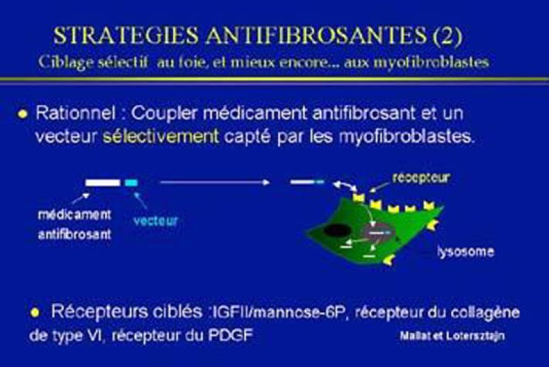 Fig 17 Stratégies antifibrosantes