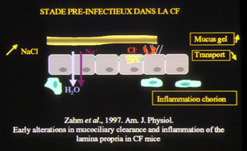 Le stade pré-infectieux