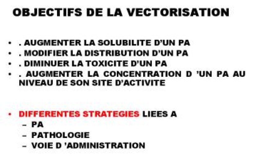 Objectifs et stratégies de la vectorisation.