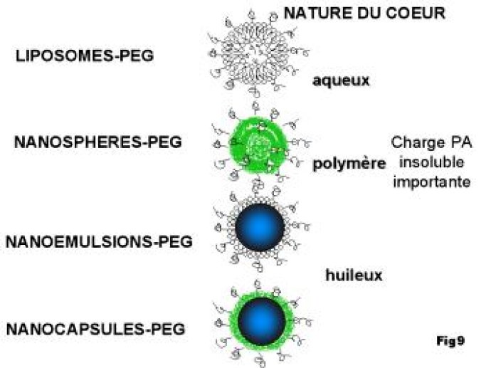 Vecteurs alternatifs aux liposomes à temps de circulation prolongé, développés à l'heure actuelle.