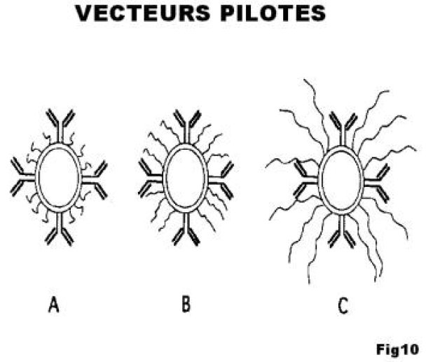 Vecteurs pilotés.