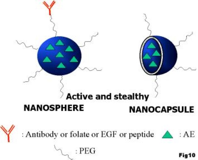 Les nanoparticules à destination anticancéreuse.