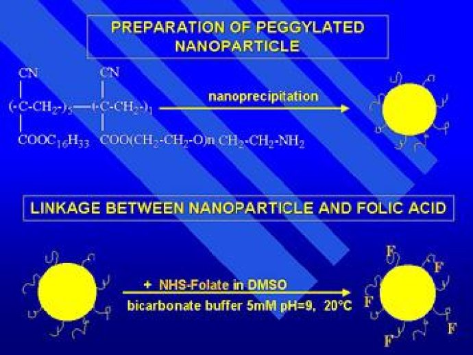 Conception de nanoparticules décorées d'acide folique.