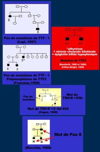 Cas familiaux avec études en biologie moléculaire.