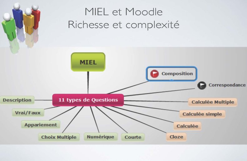 MIEL-IUT-en_ligne_Page_11.jpg