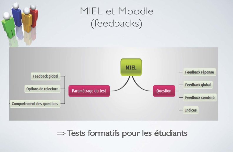 MIEL-IUT-en_ligne_Page_17.jpg