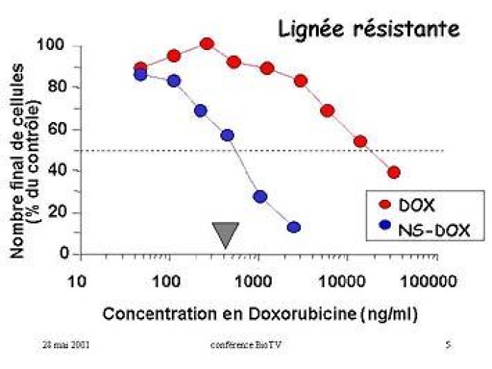 Courbes de survie de cellules tumorales en culture (P388R), lignée résistante à la doxorubicine (phénotype MDR)