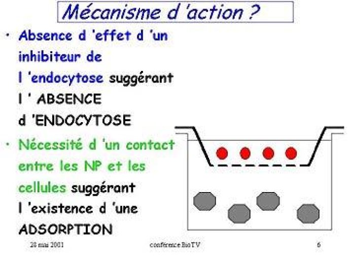 Conclusions des expériences complémentaires entreprises pour élucider le mécanisme d'action des nanoparticules