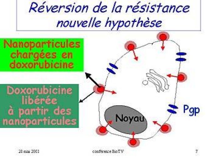 PAR LES NANOPARTICULES