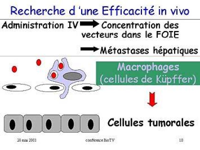 POTENTIEL CURATIF DES VECTEURS