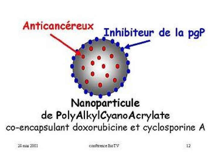 LES NANOPARTICULES MIXTES