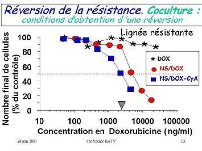  Les effets des nanoparticules "mixtes