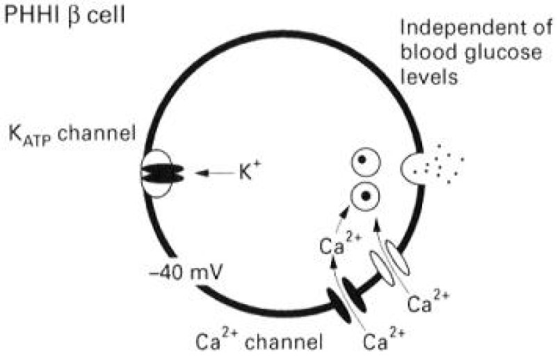 hypersécrétion d'insuline indépendante du glucose