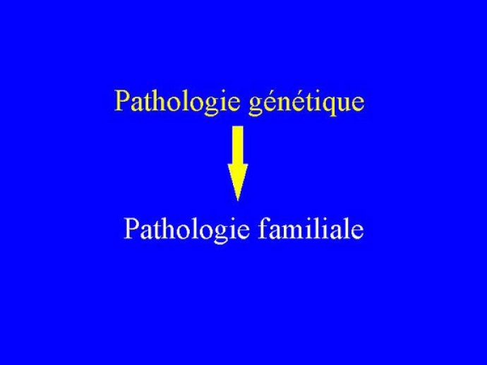 Diapositive 3