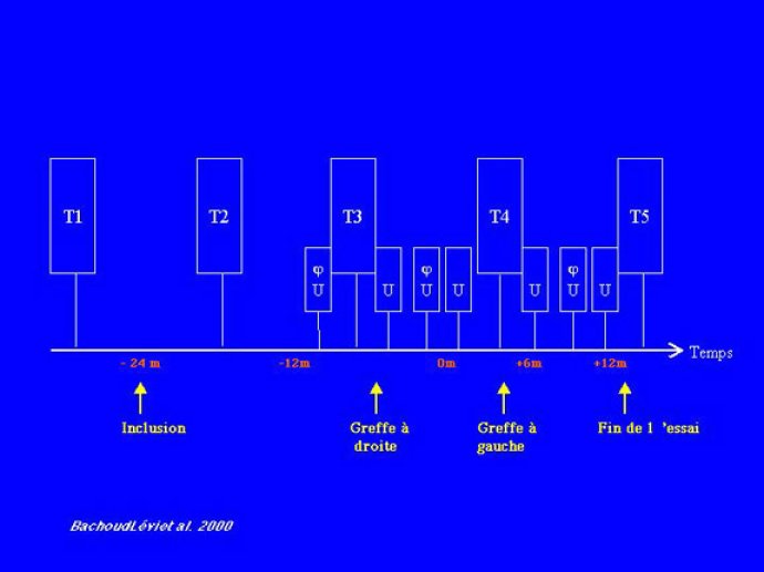 Diapositive 5