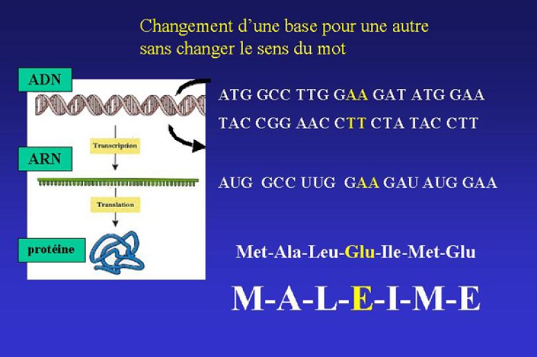 Mutation conservative