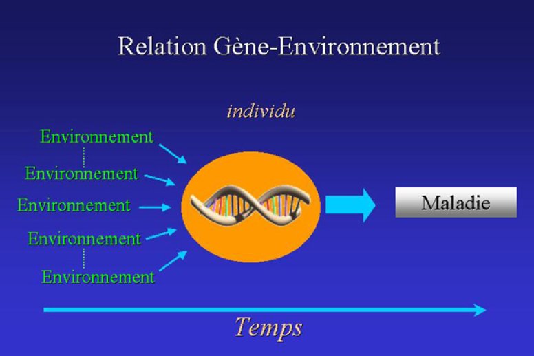 Relations gène-environnement