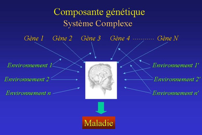 Conclusions