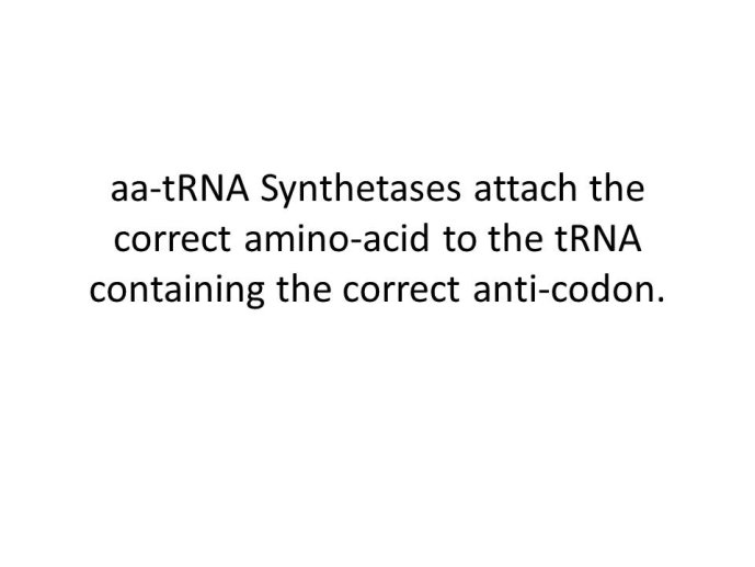 slide_0015_full.jpg