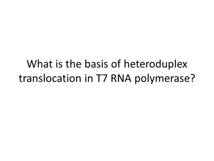 slide_0018_full.jpg