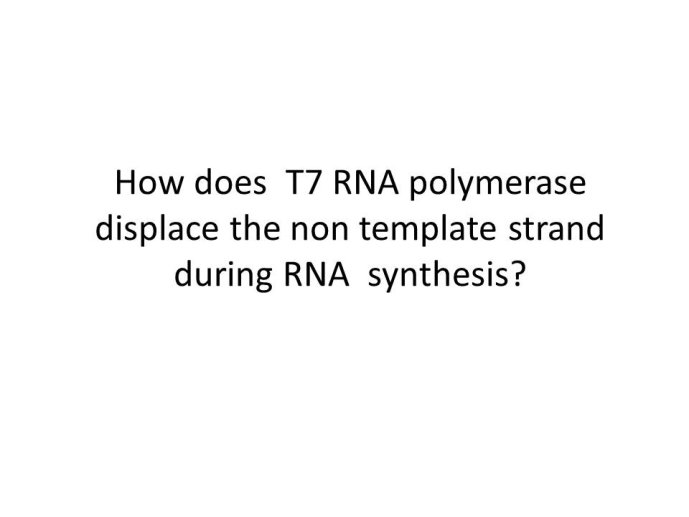 slide_0020_full.jpg