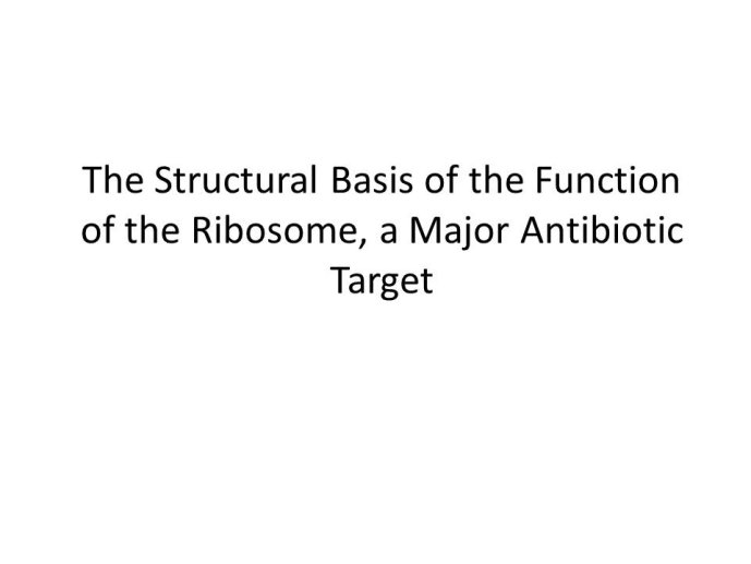 slide_0022_full.jpg