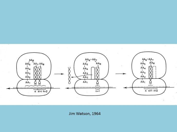 slide_0023_full.jpg