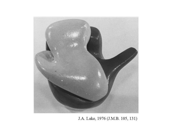 slide_0025_full.jpg