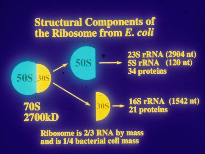 slide_0027_full.jpg