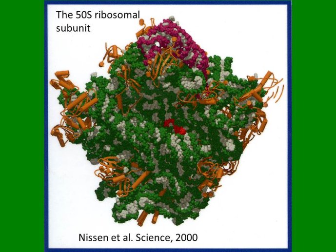 slide_0029_full.jpg