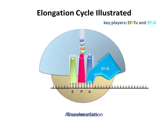 slide_0032_full.jpg