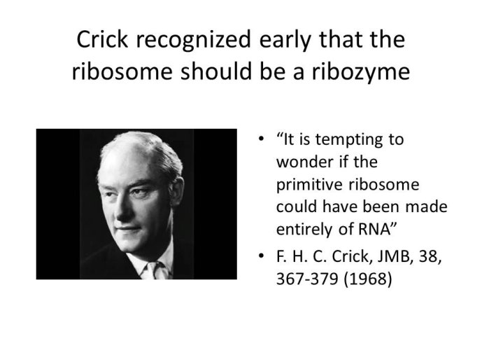 slide_0035_full.jpg