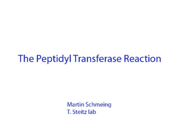 slide_0038_full.jpg